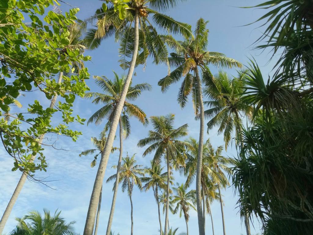 Puri Saron Senggigi Hotel Экстерьер фото